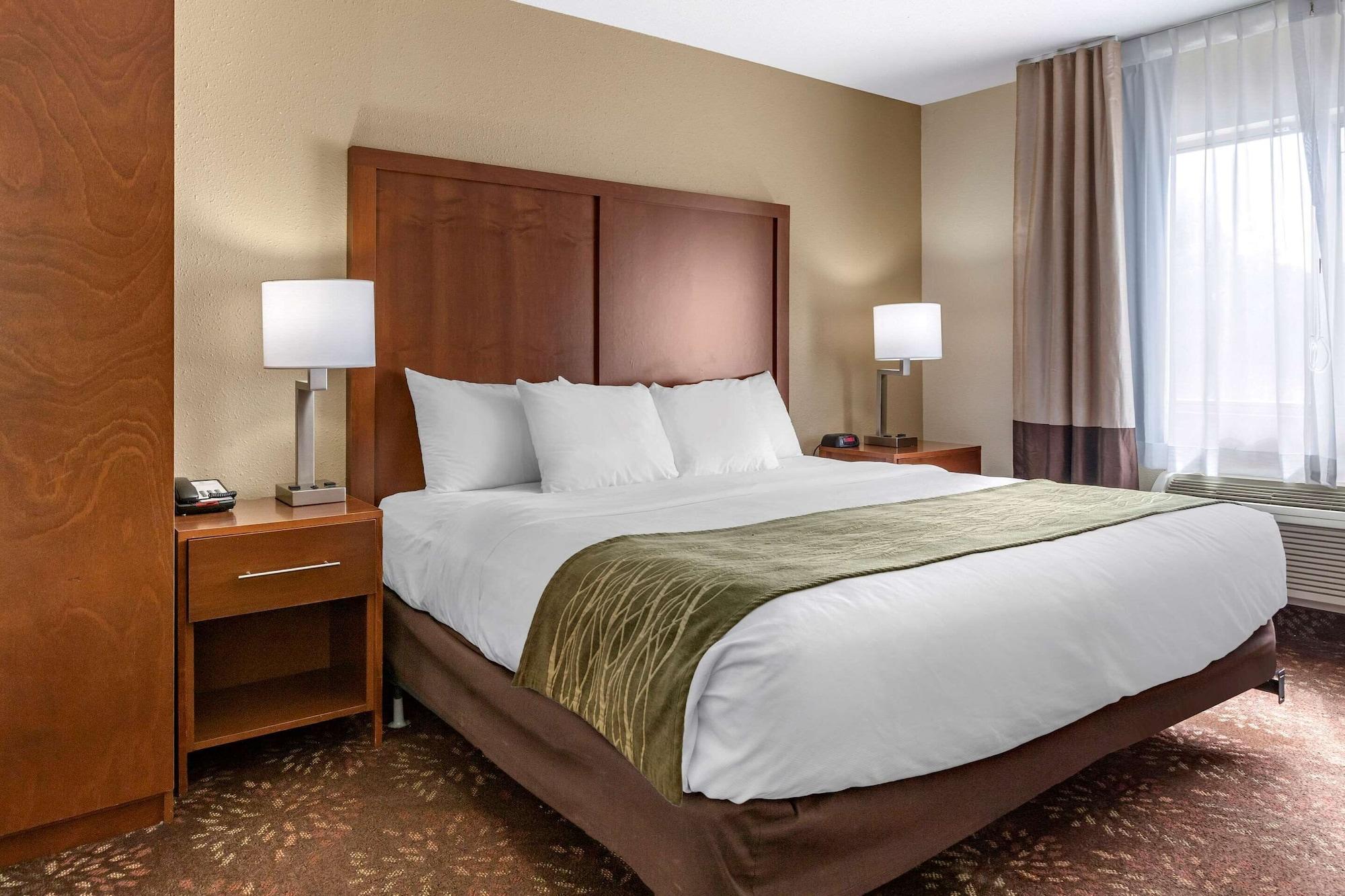Comfort Inn Okemos - East Lansing Exterior photo